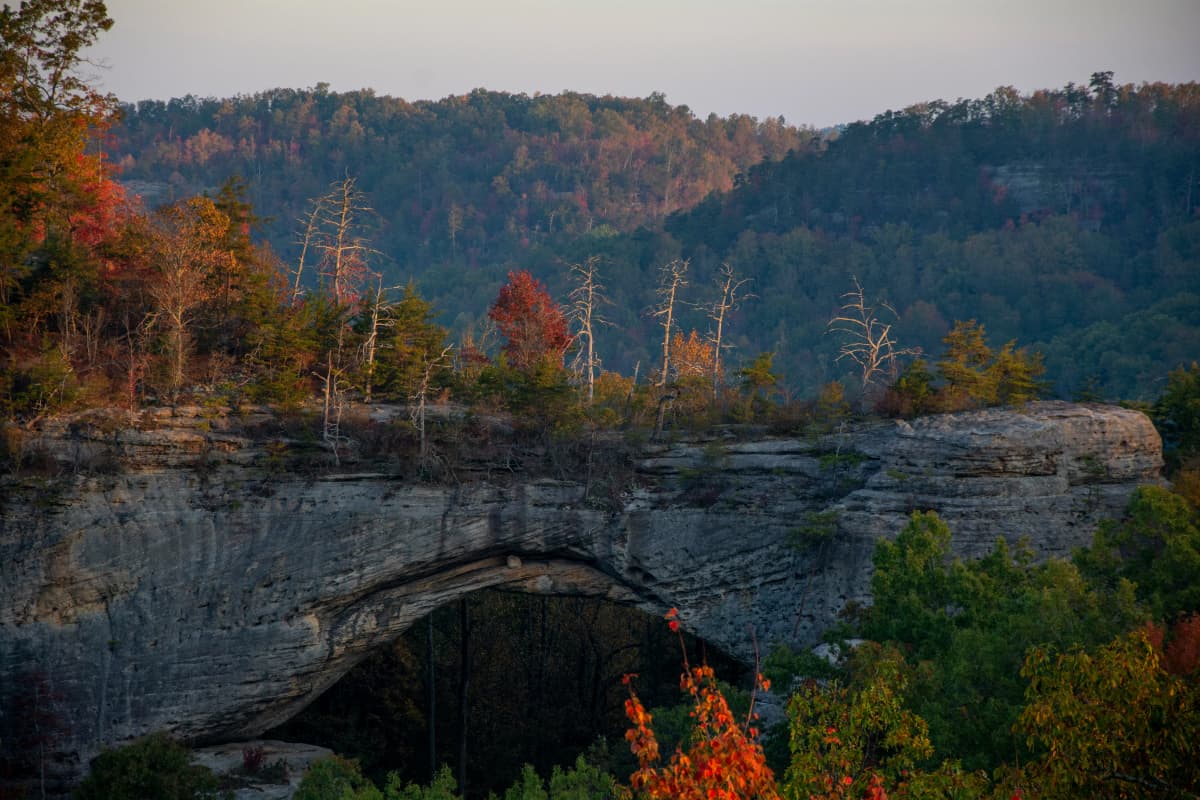 Sandstone arch of Natural Bridge surrounded by forest in Kentucky's Red River Gorge area